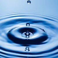 Blog 9 The Importance of Water Quality