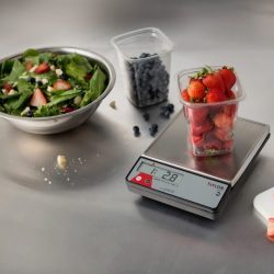 Taylor Food Scales- Choosing the Right Food Preparation Scale