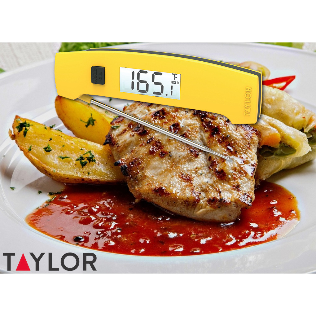 Taylor 9868FDA Folding Thermocouple Thermometer 1 - Food Safety: Six Ways to Properly Store and Preserve Food